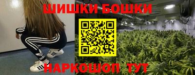 хмурый Бердск